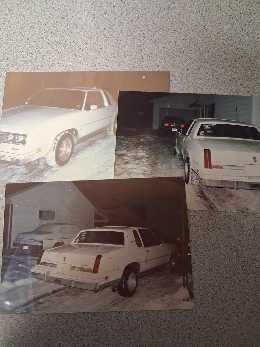 Scooby-Doo tweet media