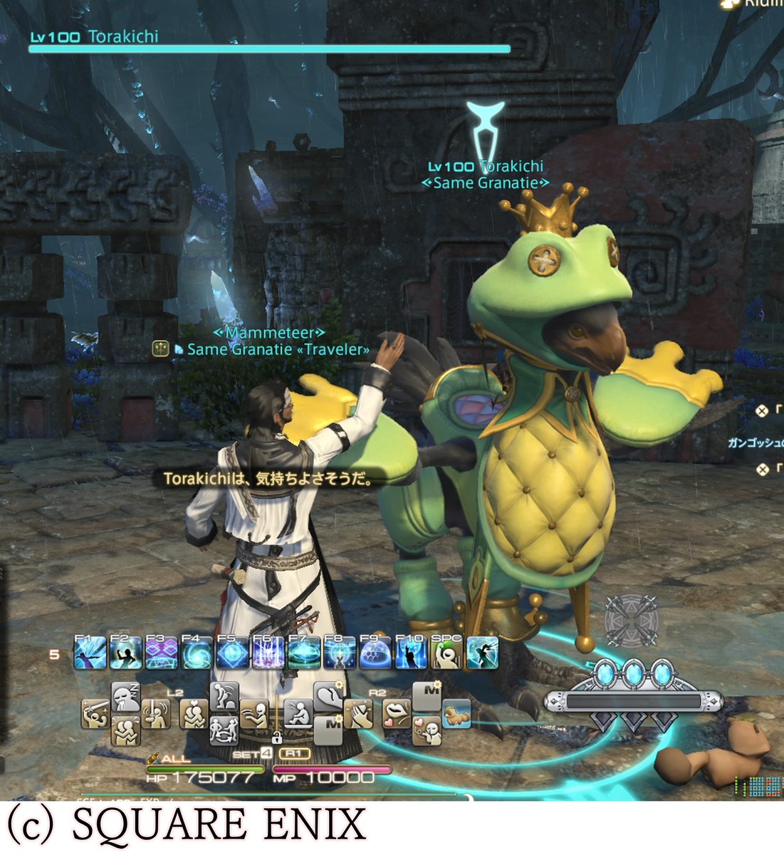 🦈さめとし🦈 tweet media