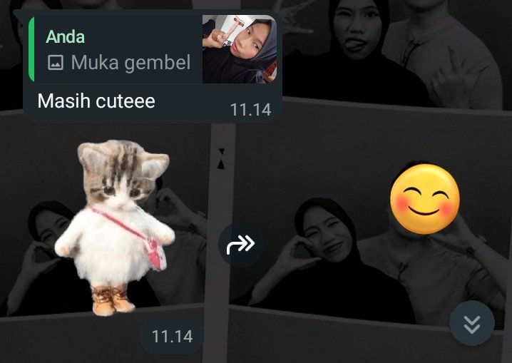 hykl's grl ~ tweet media