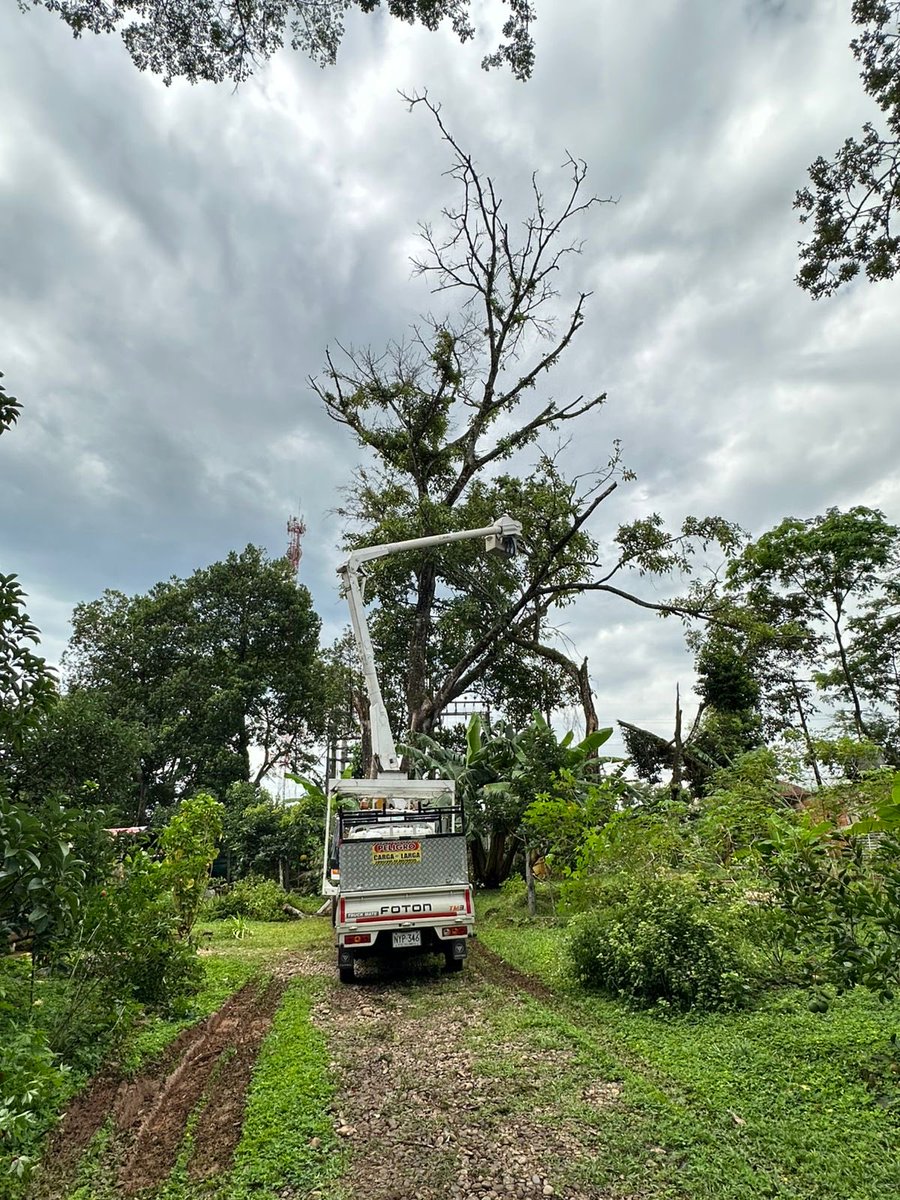 emsa_esp's tweet photo. Personal operativo 👷🏼‍♂️👷🏽‍♂️de la Electrificadora del Meta, realiza podas preventivas con grúa canasta en línea viva, subestación del municipio de San Juan de Arama, una labor importante para mantener despejadas las redes y fortalecer la continuidad del servicio. https://t.co/lWCtZksG9D