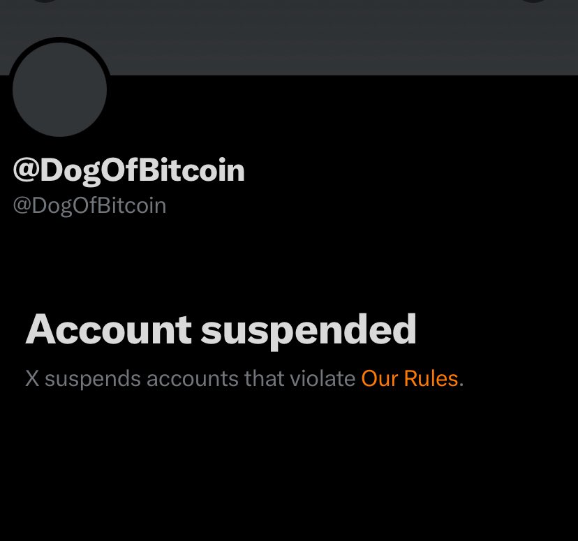 PIPS 🧡 $DOG ᛤ tweet media