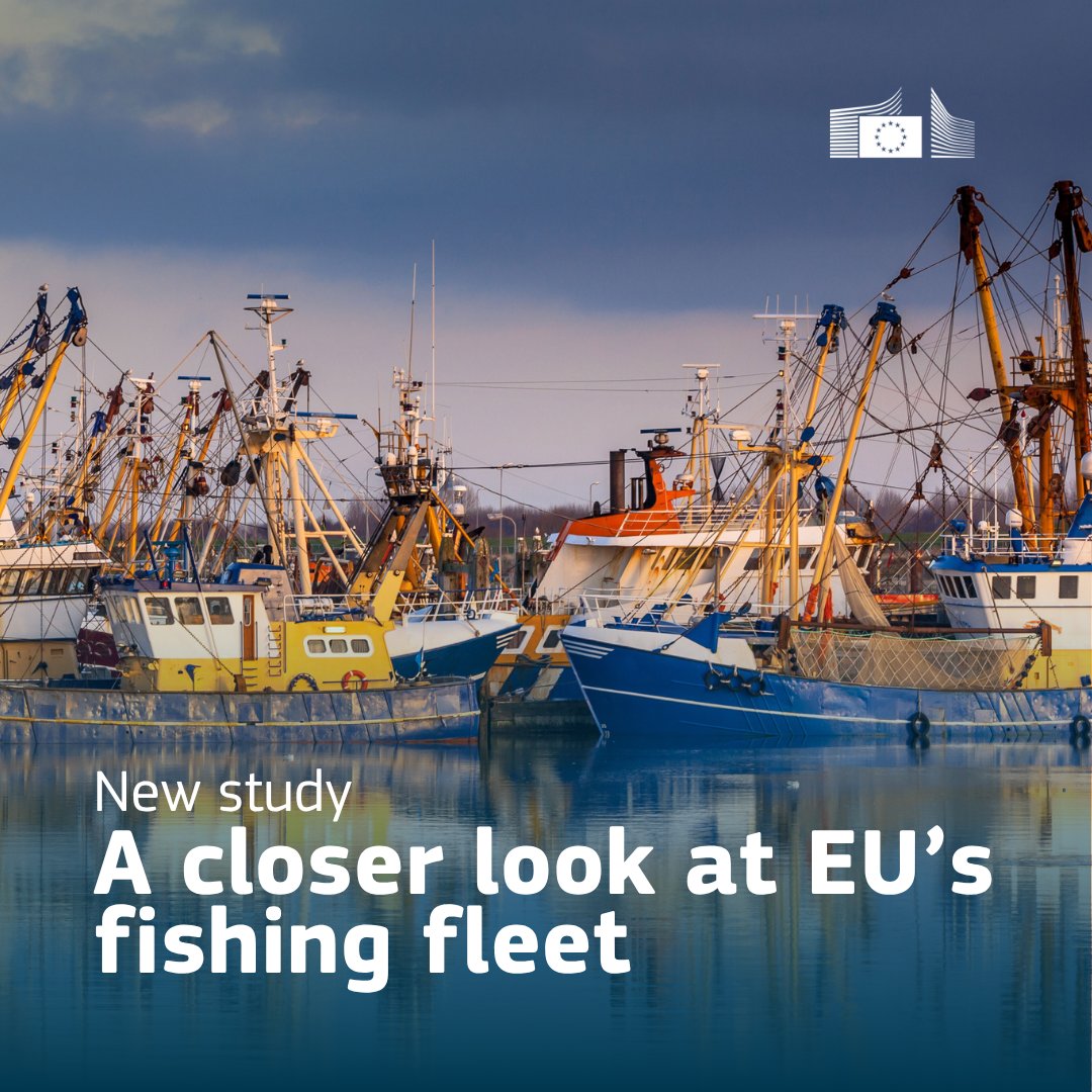 EU Maritime & Fish tweet media