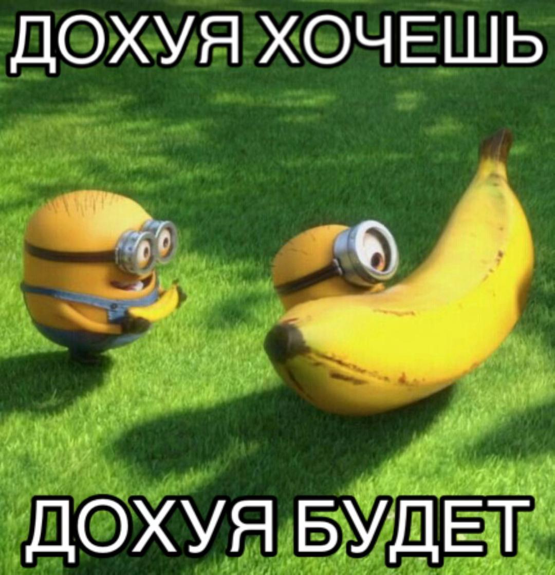 Lemon.Q 🌸 (@lemon_q_) on Twitter photo 