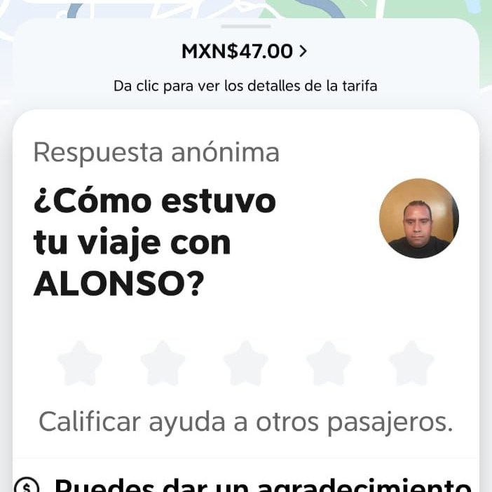 Miss Pemulis tweet media