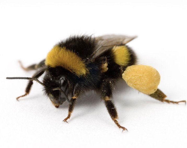 Noah🧘‍♂️ tweet media