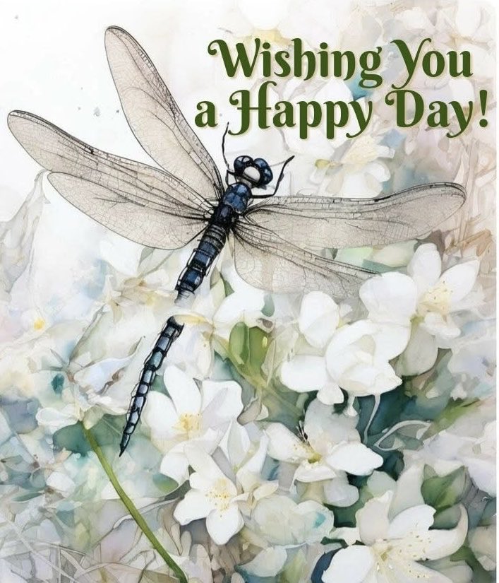 LejmanMargie's tweet image. Happy Tuesday! 
#behappy #bekind