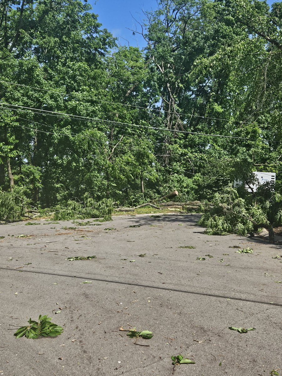 bmcgee0256's tweet photo. @NashSevereWx Brentwood at Robert E Lee Ln trees down with power lines #tspotter https://t.co/LrwaTiflya