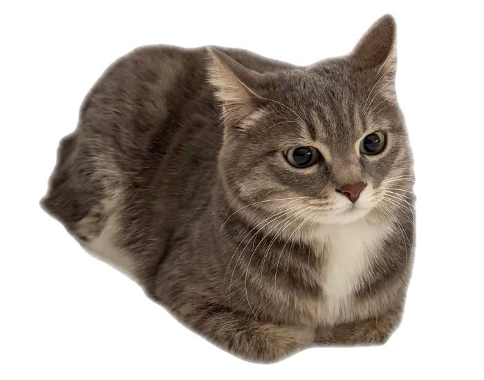 힐링짤모으는곳 tweet media