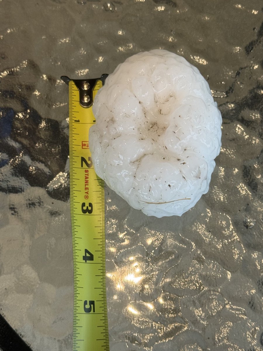 Pat Walker 🌨 tweet media