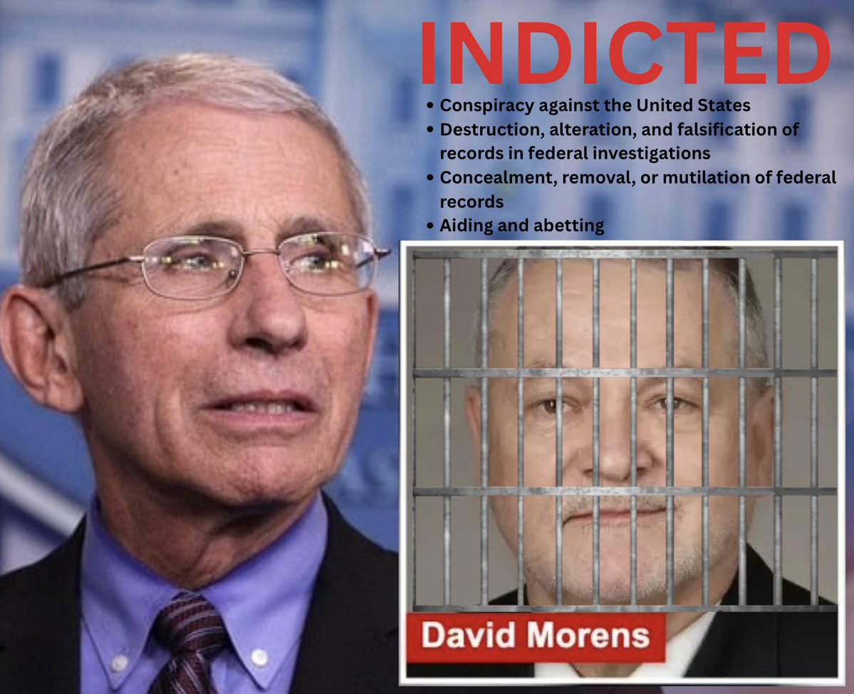 Nicolas Hulscher, MPH tweet media