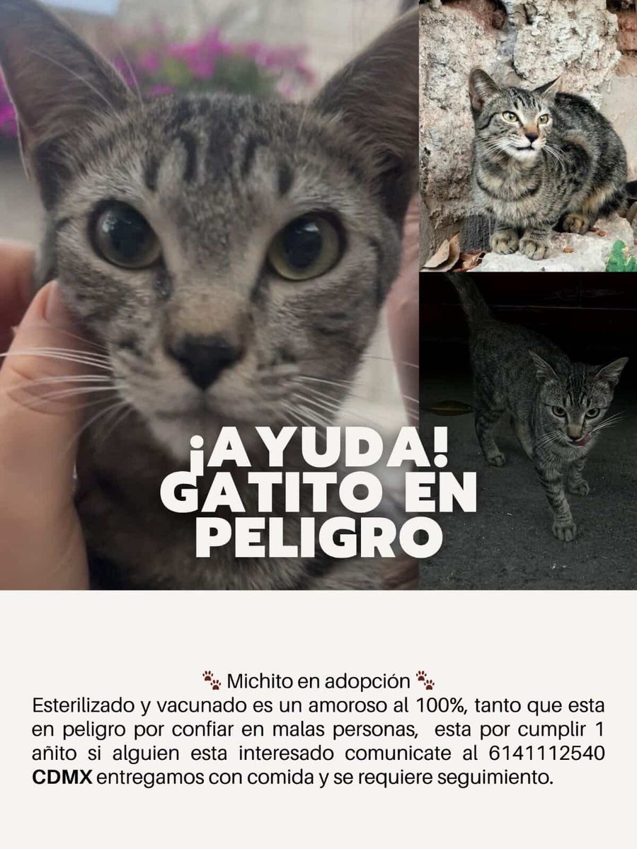 Gaby Meza 🍿 tweet media