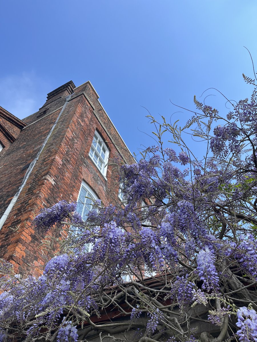 Visit Colchester tweet media