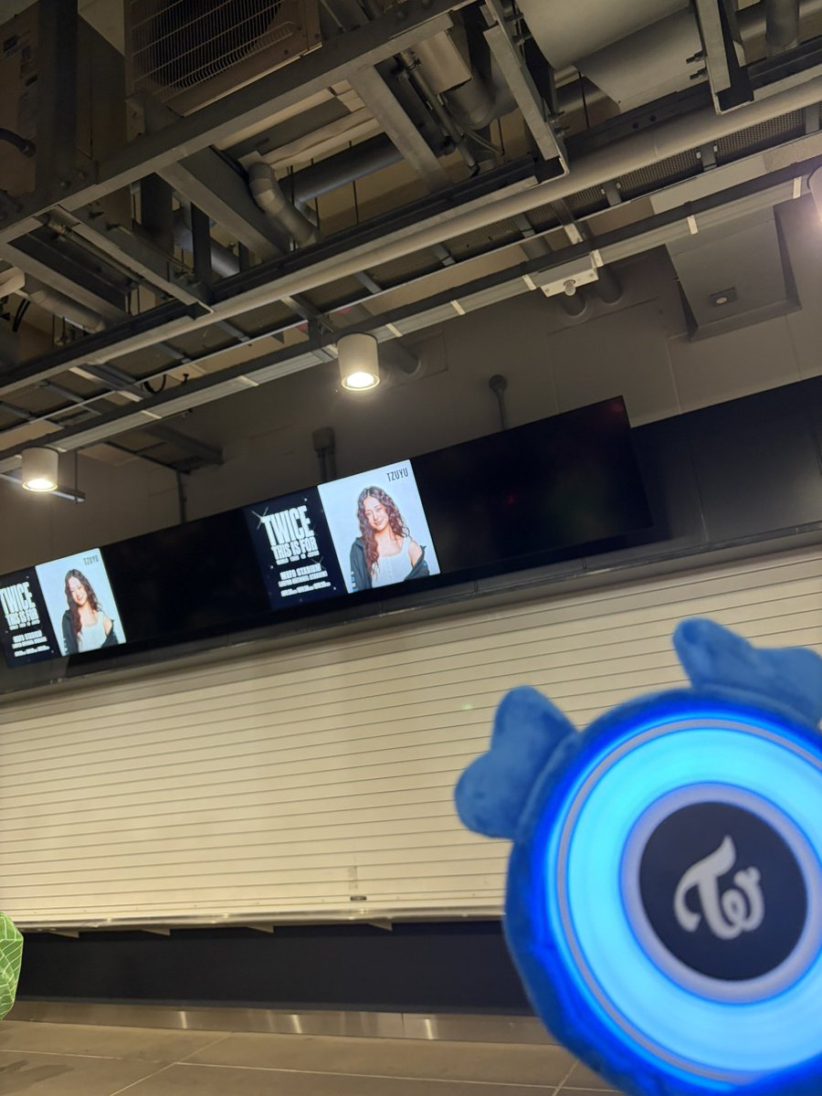 オクトパス tweet media