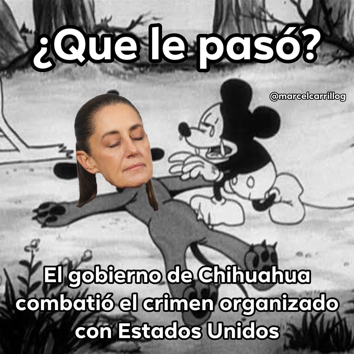 Señor exprópiese tweet media