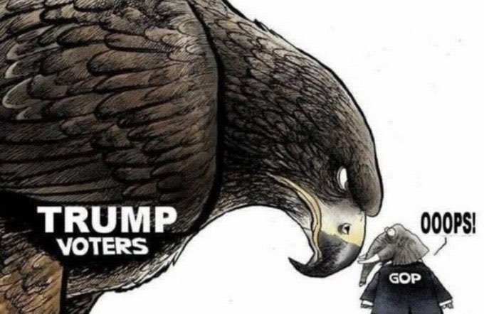 MAGA Now tweet media