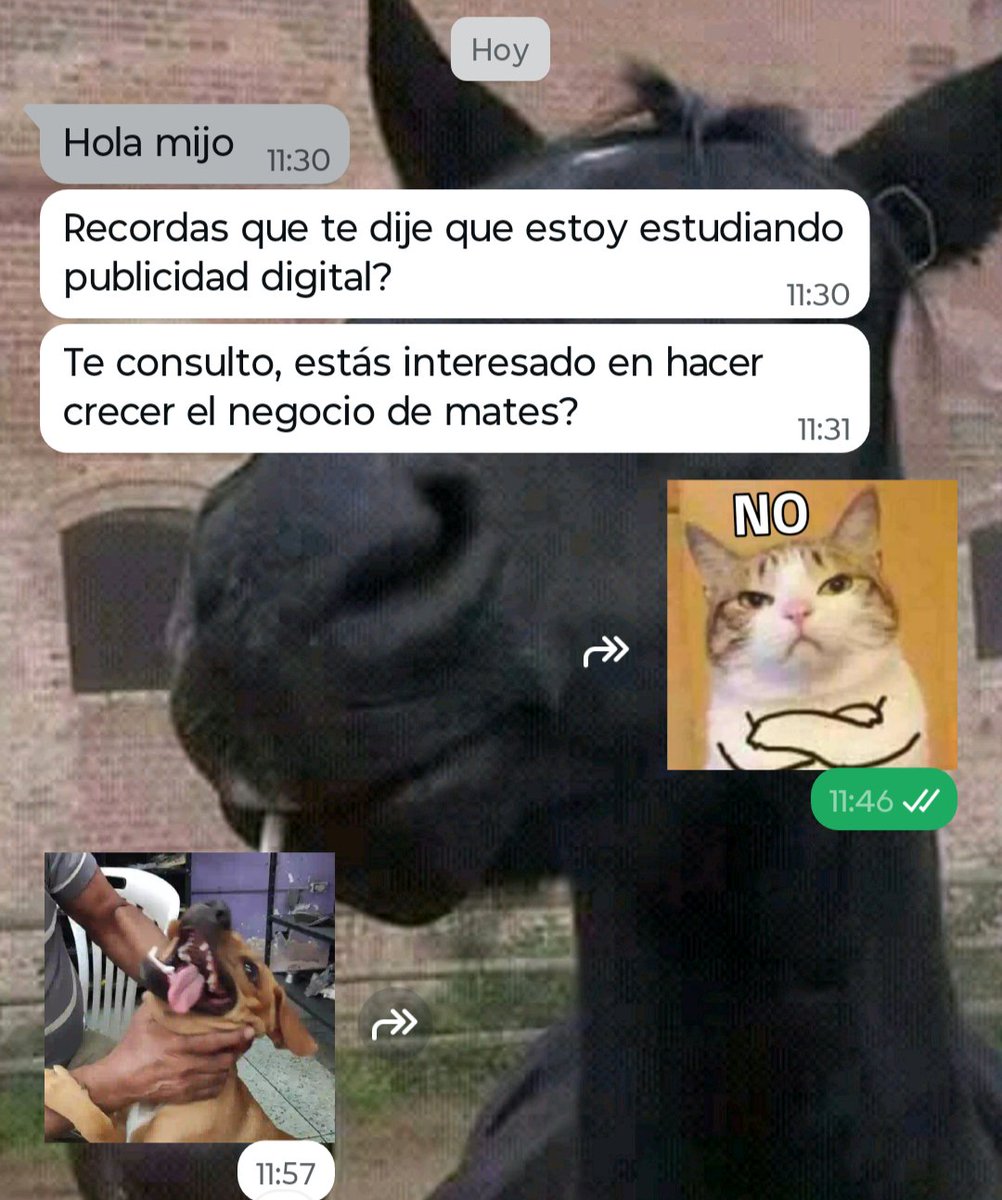 El Gordo de los mates🧉🇦🇷 tweet media