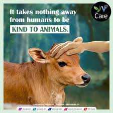 Earthling 🌏 tweet media