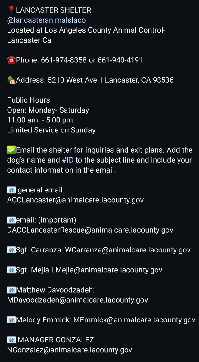 Foster a shelterpet at ZERO COST🐾 tweet media