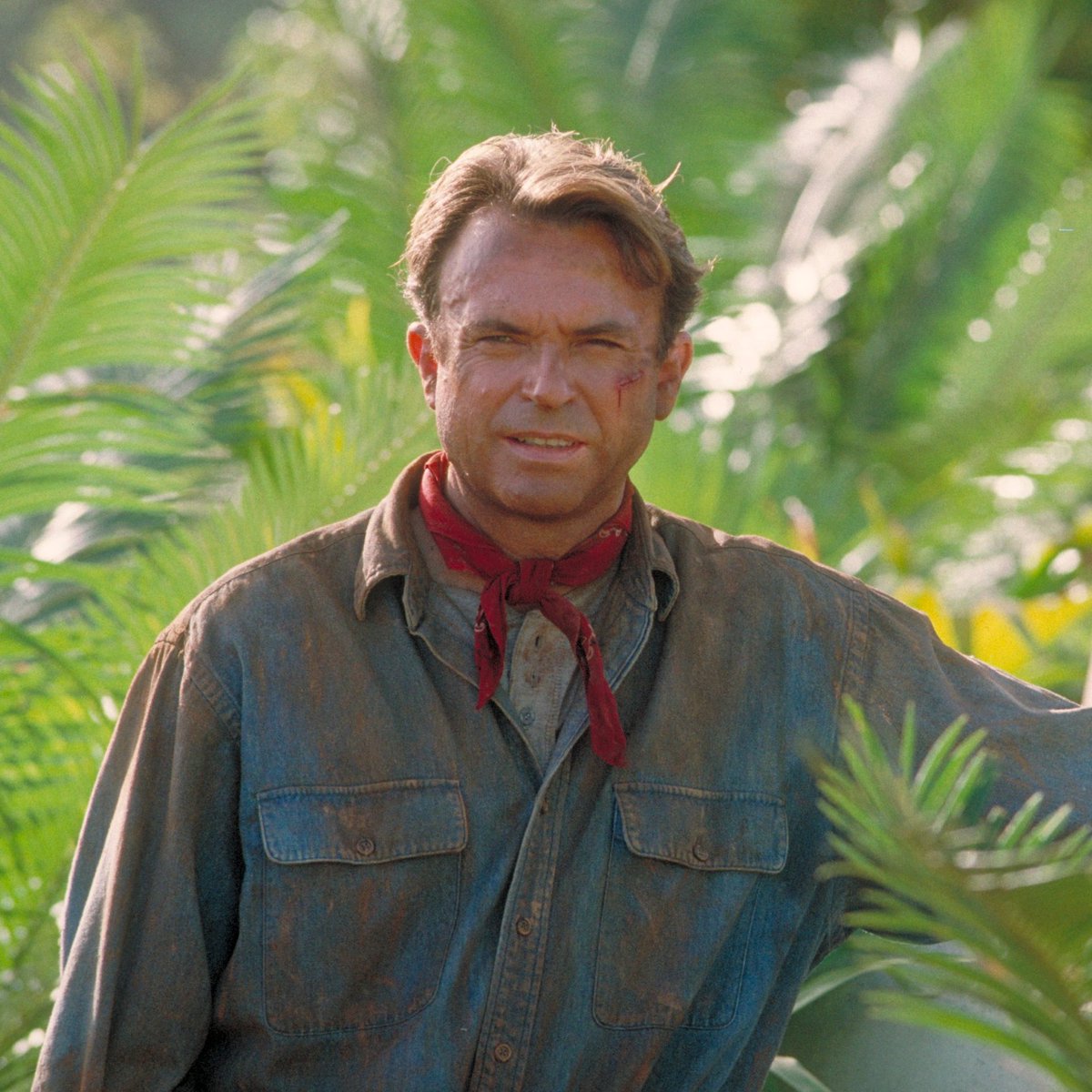 ScreenTime tweet media