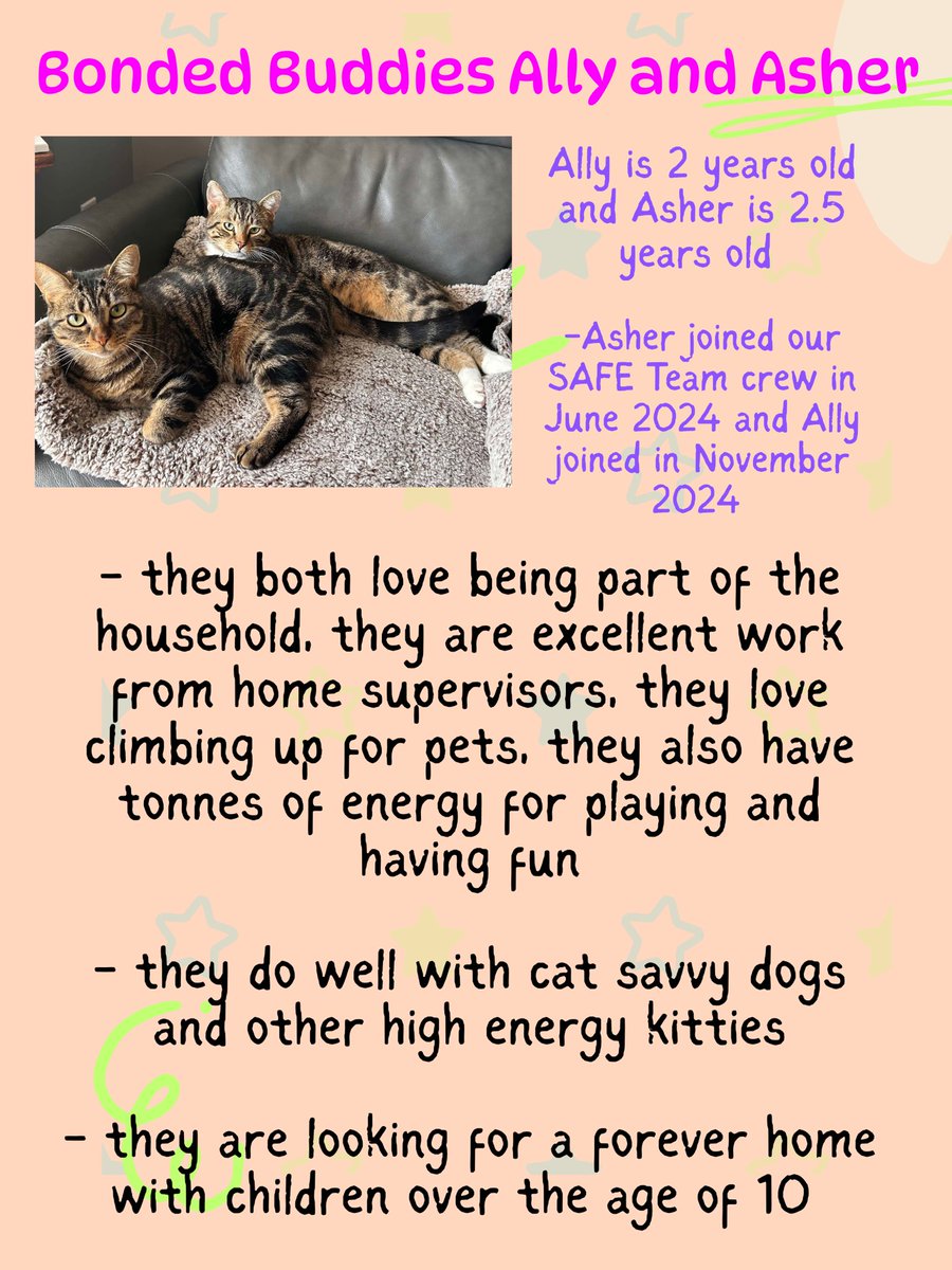 Happy Tuesday from adoptable kitties, Ally and Asher!  These Besties are loving the warm sunshine today, Ally is busy having her bath while Asher is already on his second cat nap of the day!  Ally and Asher are curious and fun loving and cuddly too, they will be terrific forever