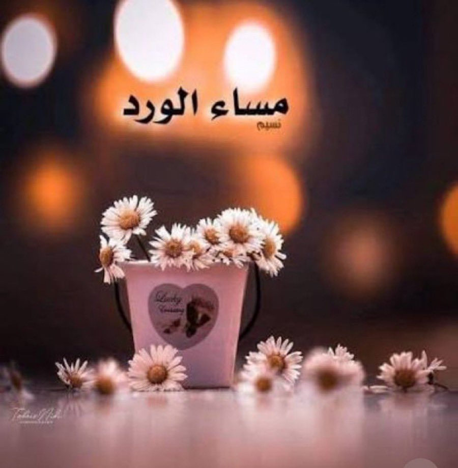 💫السلطانة💫 tweet media