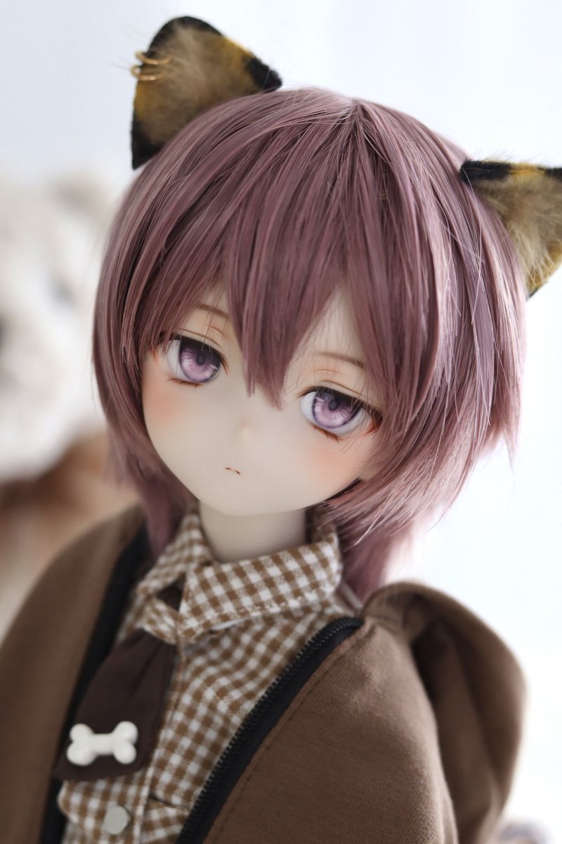 ちょっぴり退屈そうなサビ猫くん🐈