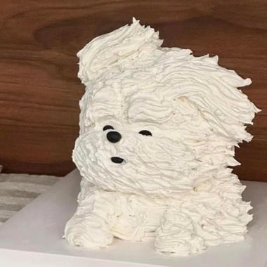 ૮ เก้อเก้อ ა tweet media