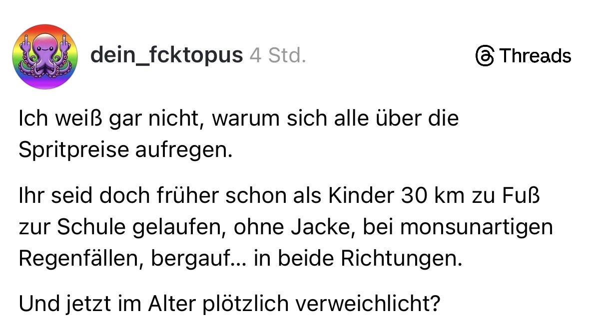 Fräulein Meyer macht Schule tweet media