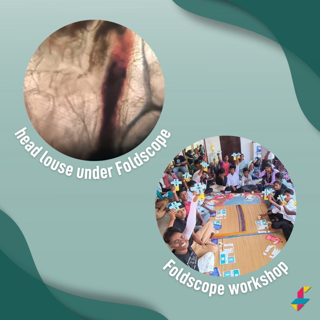 Foldscope tweet media