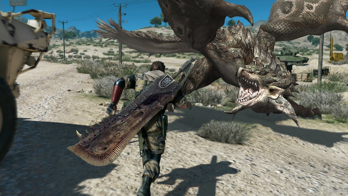 杉の木 tweet media