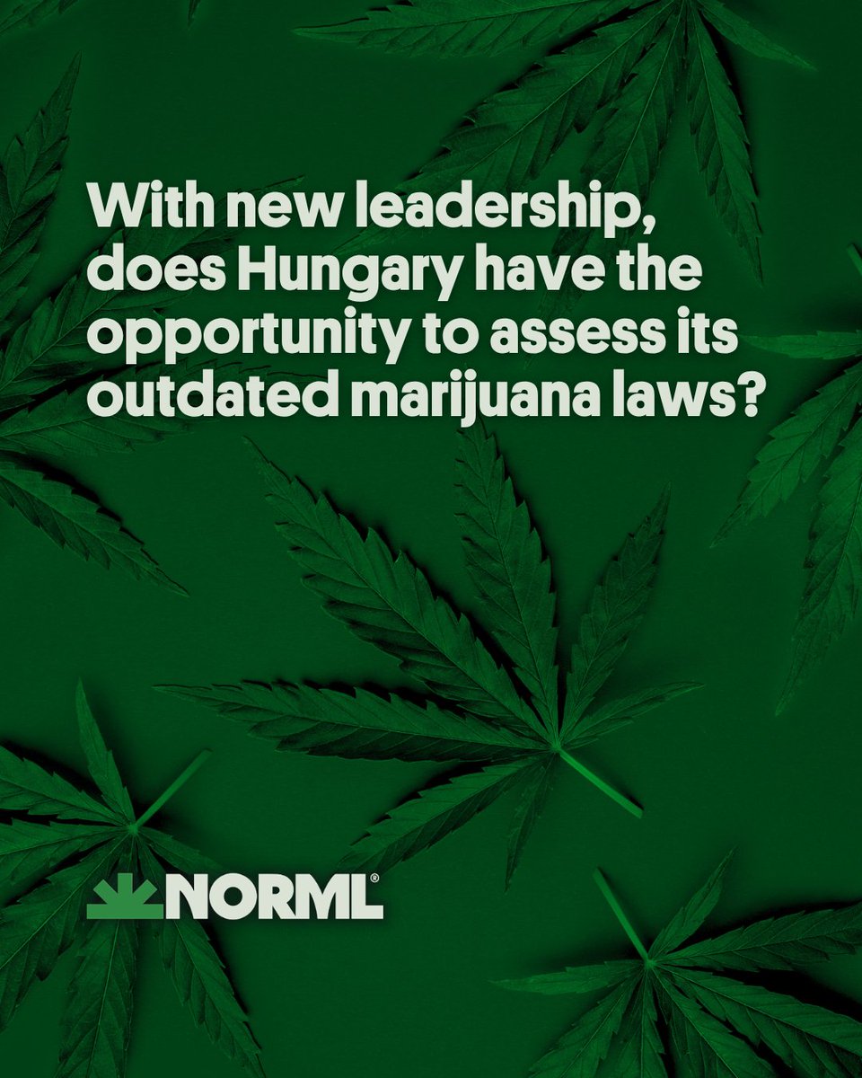 NORML tweet media