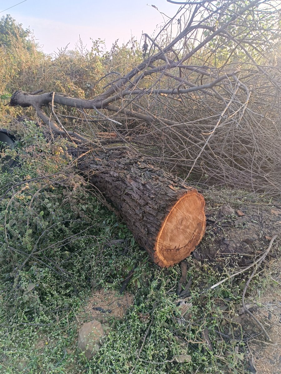 Adv.Kailas Sooryawanshi tweet media