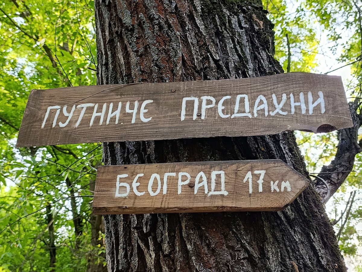 Очередной пример звательного падежа в сербском языке.