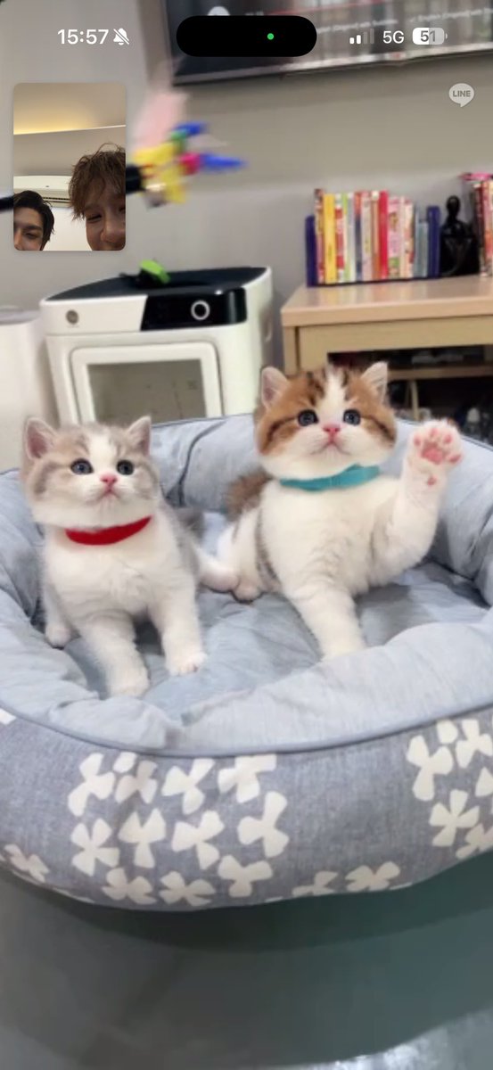 <a href="/palmww06/">palmww</a> ใครจะไปยกมือขึ้น