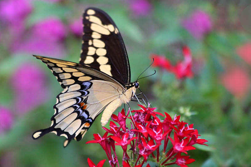 Brains Matter tweet media