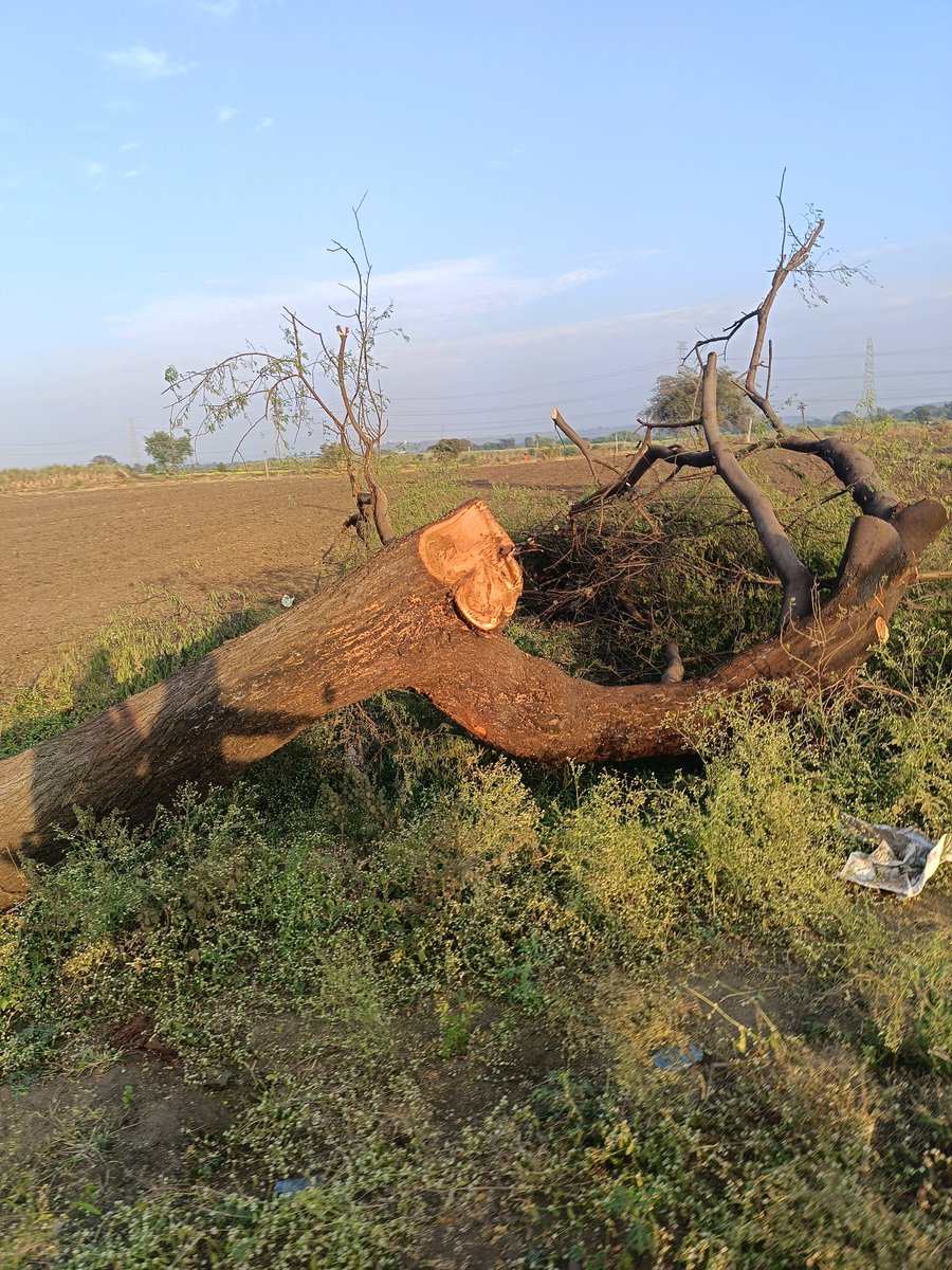 Adv.Kailas Sooryawanshi tweet media