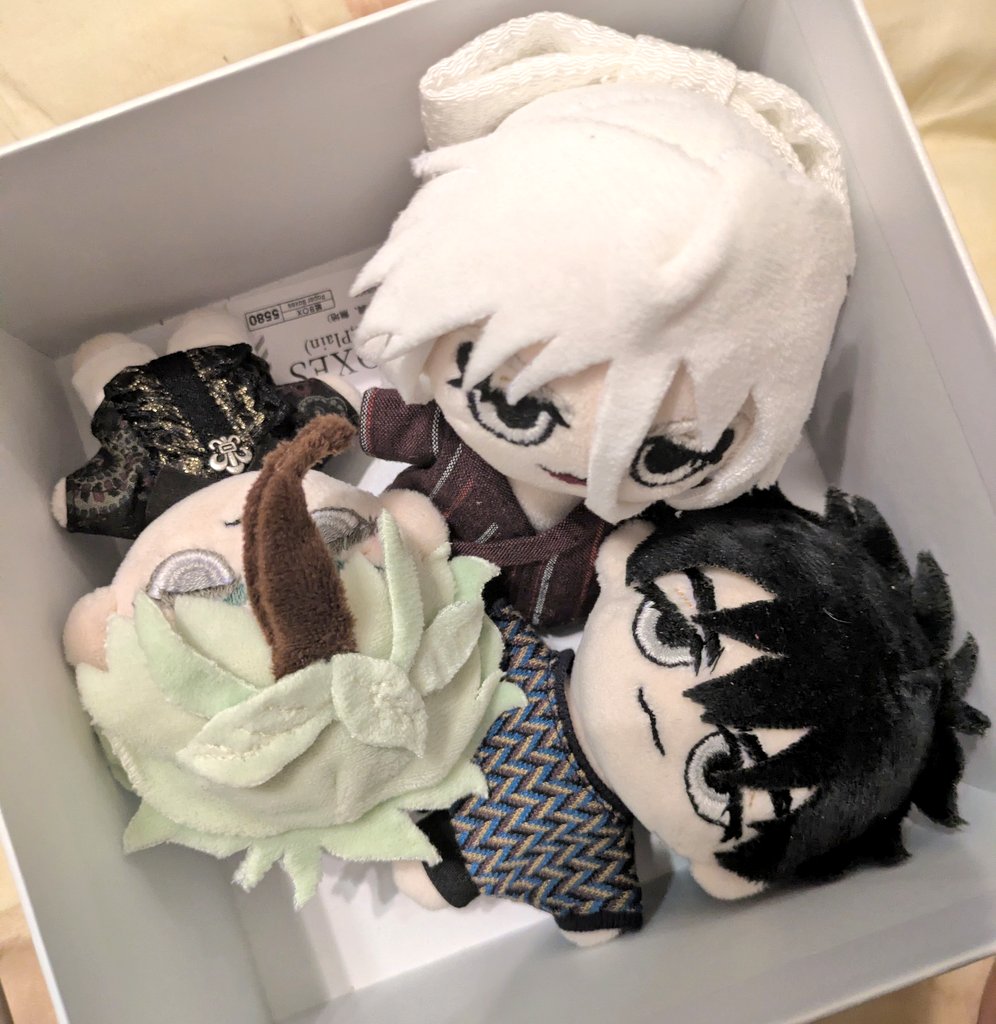 ふじつぼ tweet media