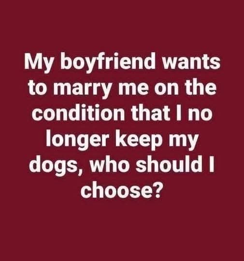 Elizabeth❣️ tweet media