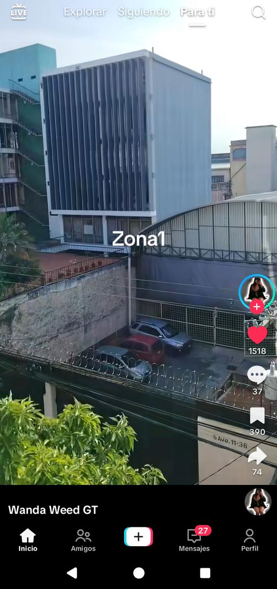 @wanda_weed🇬🇹 tweet media