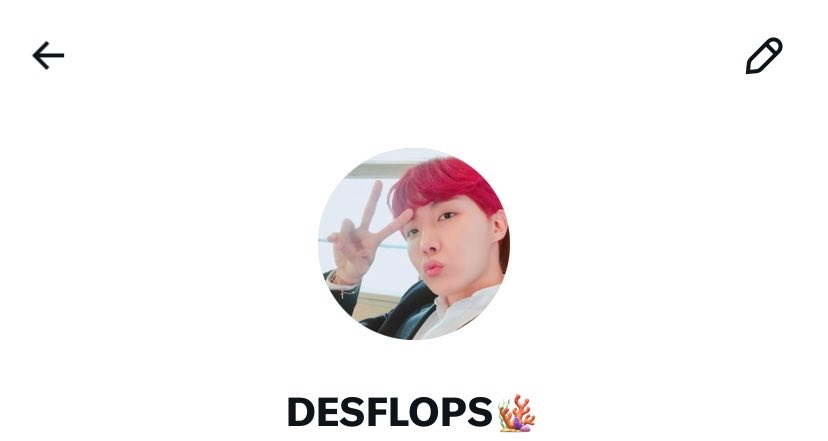 DESFLOPSQUAD. tweet media