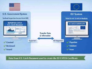 US fisheries told the EU they are dissatisfied with the digital EU CATCH system, to prevent IUU products from entering the EU. They said its data and reporting rules on mixing catches are nearly impossible for the sector to...zurl.co/OoIX6 #USA #EUCATCH #tuna