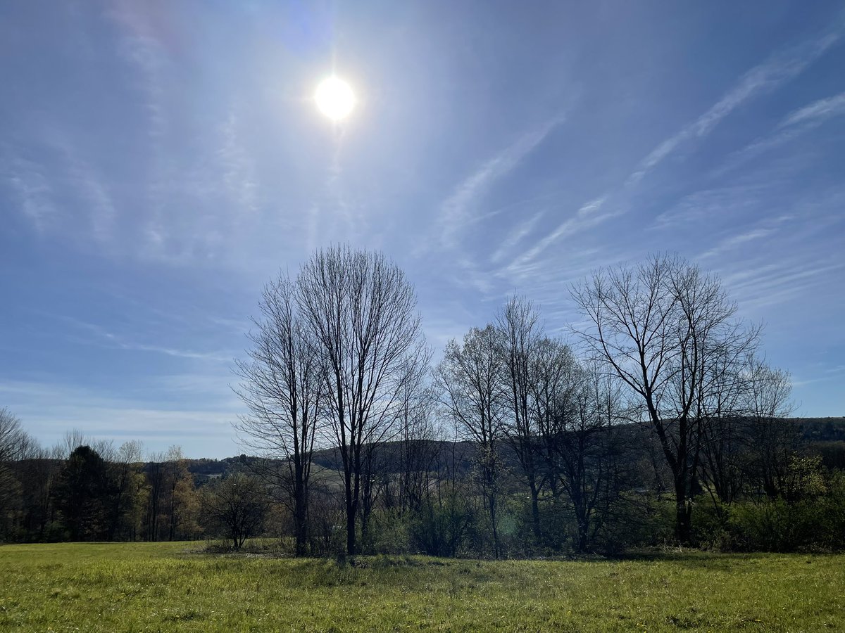 ChenangoBango76's tweet image. #MotherNaturesWaterColors #NoFilter