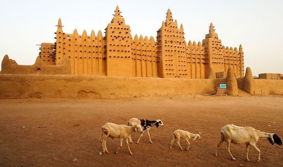 Aseel Swaid tweet media