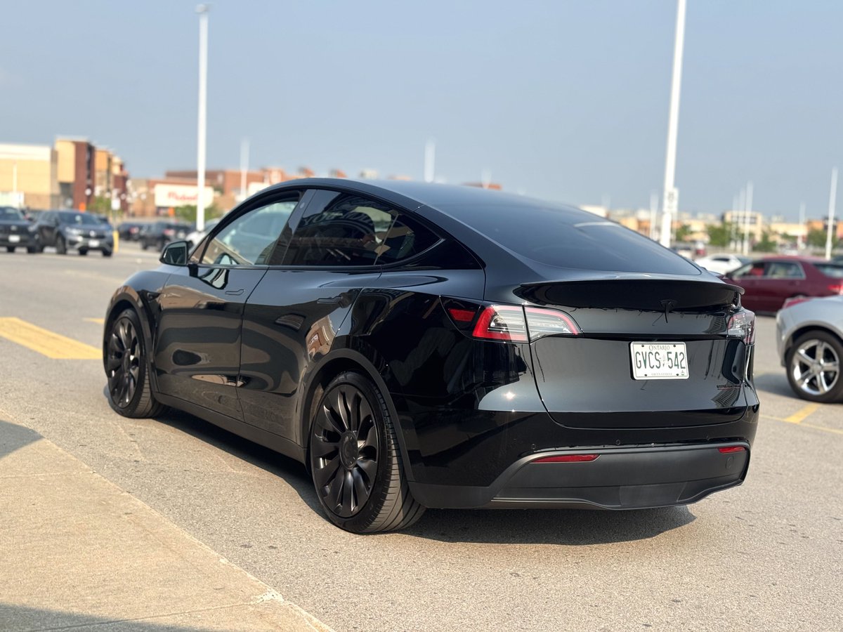 Nic Cruz Patane tweet media