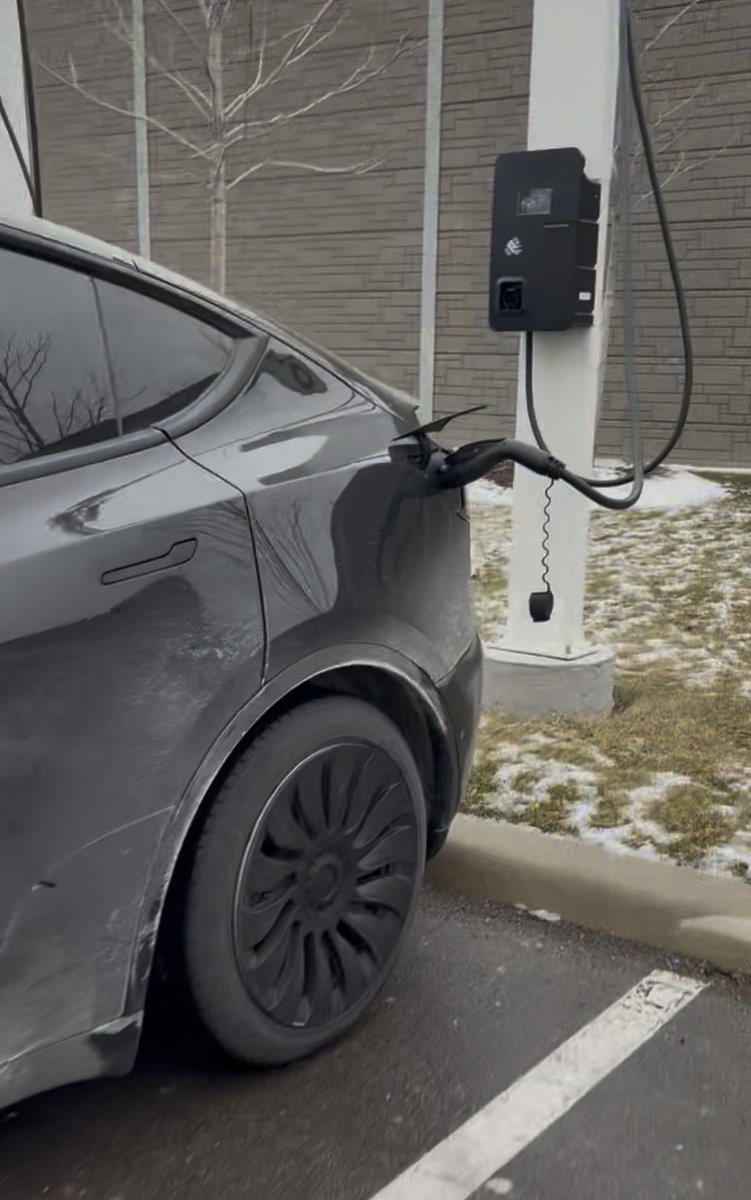 Nic Cruz Patane tweet media