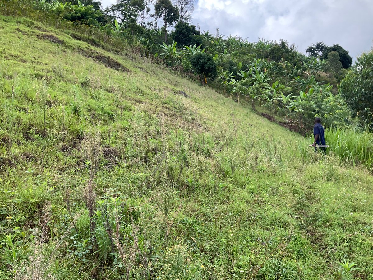 tomceze's tweet photo. signed #GardenNo6 yesterday right down the valley behind #Katanda https://t.co/hBPnHDVpYT