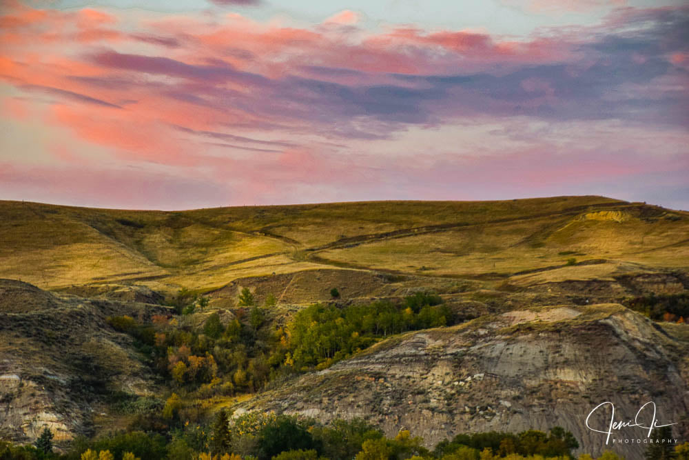 JeniJiPhotography tweet media