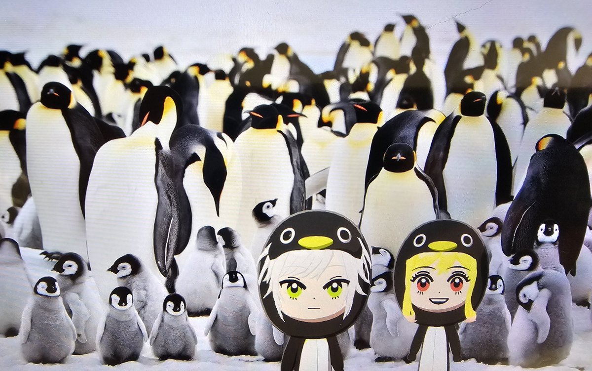 나기💫 tweet media