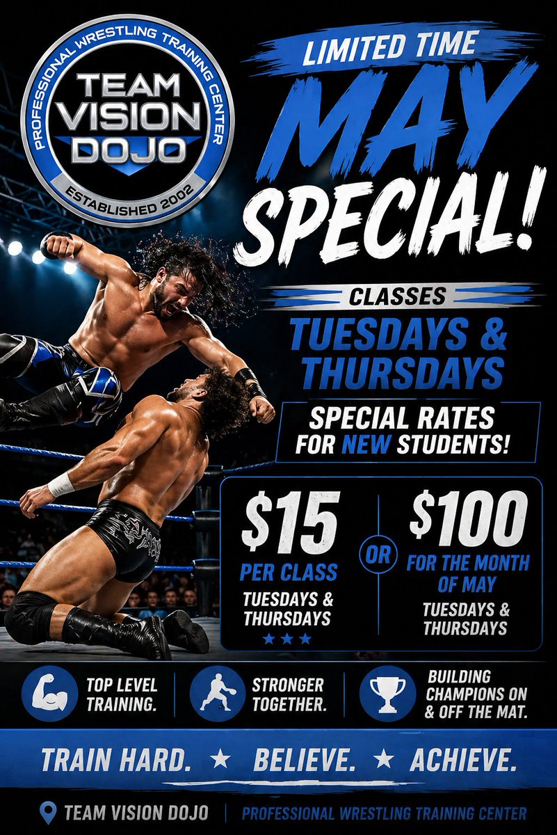 Team Vision Dojo tweet media