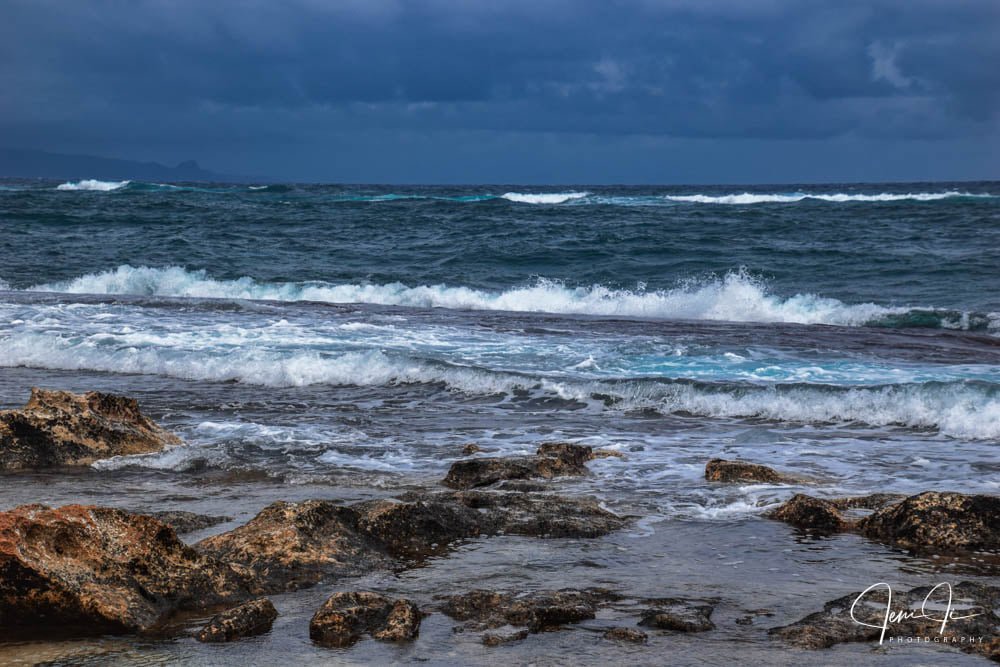 JeniJiPhotography tweet media